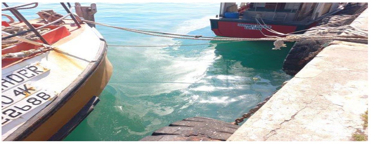 Sea Water contamination