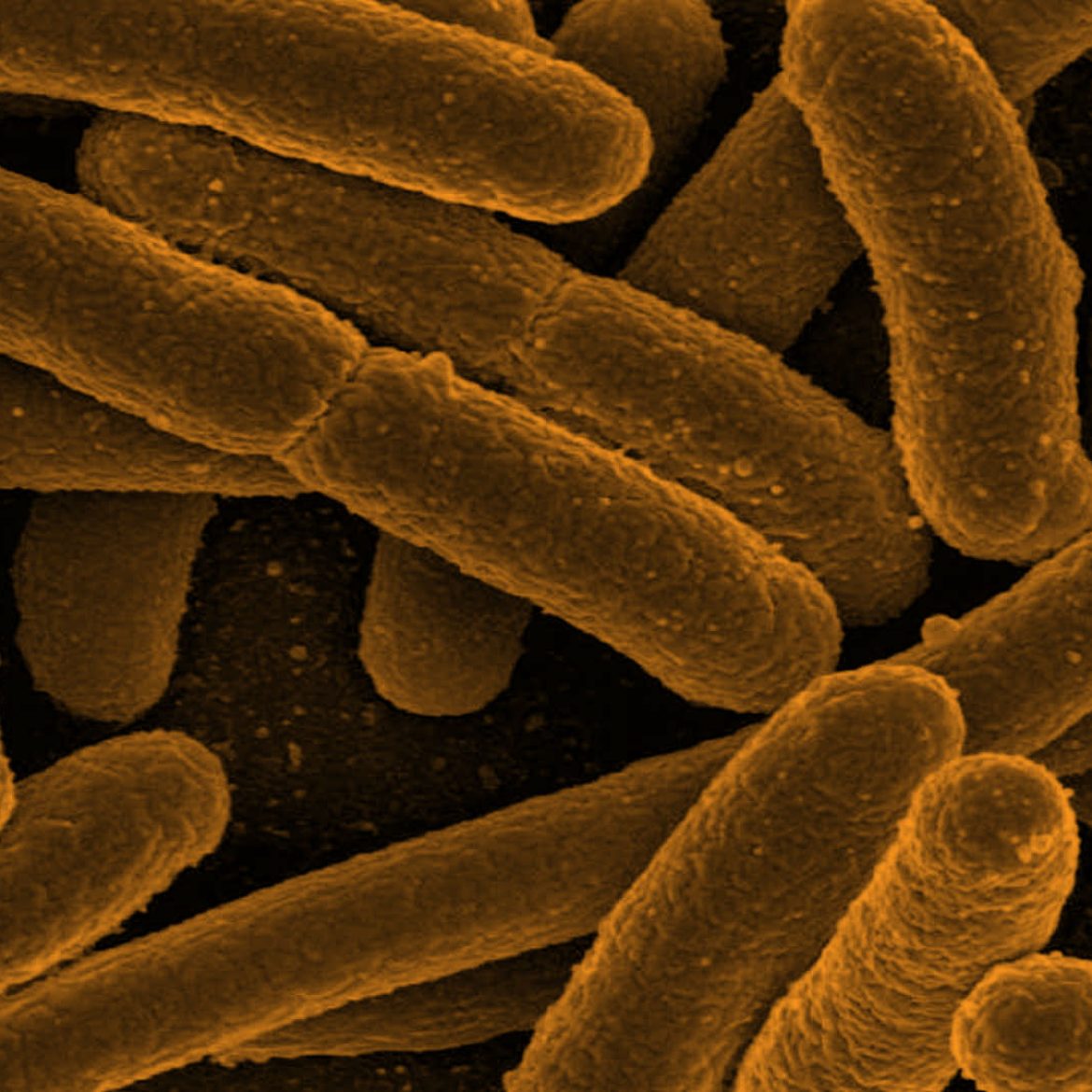 header-bacterial-testing-yellow