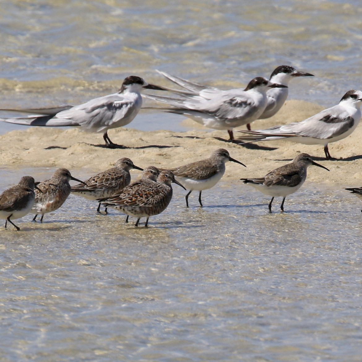 State of the Bay 2022